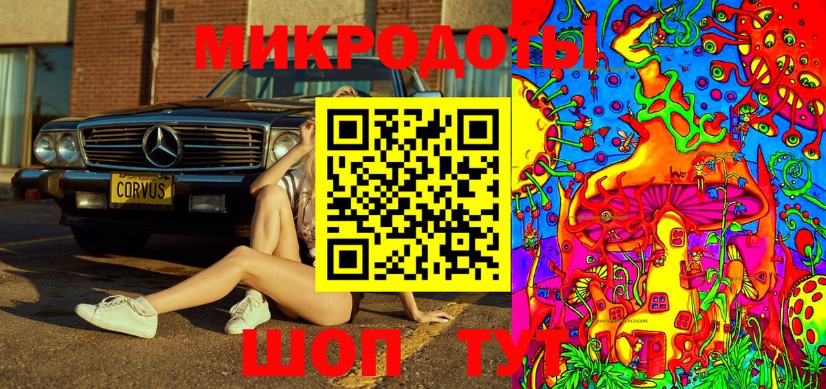 Псилоцибиновые грибы Cubensis Сертолово