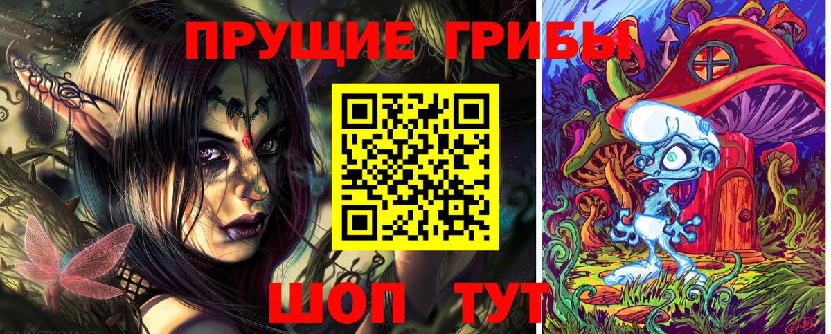Псилоцибиновые грибы Psilocybe  Галлюциногенные грибы GOLDEN TEACHER  Вход с VPN  Сертолово 